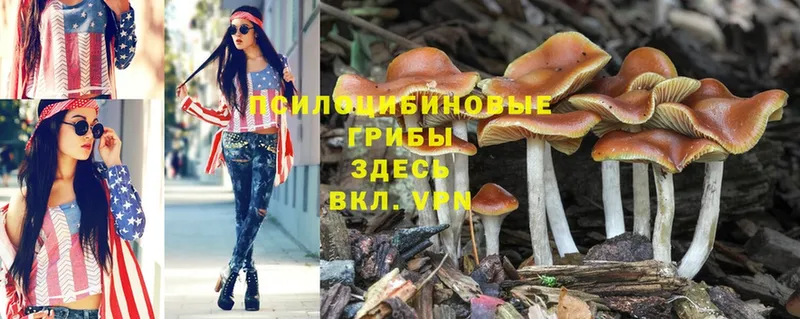 купить  сайты  нарко площадка телеграм  Галлюциногенные грибы Magic Shrooms  Старая Русса 